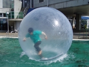 �֤Ӥ�п��ե����ƥ��Х�סݥ����������ܡ���Ǹо�����붥����